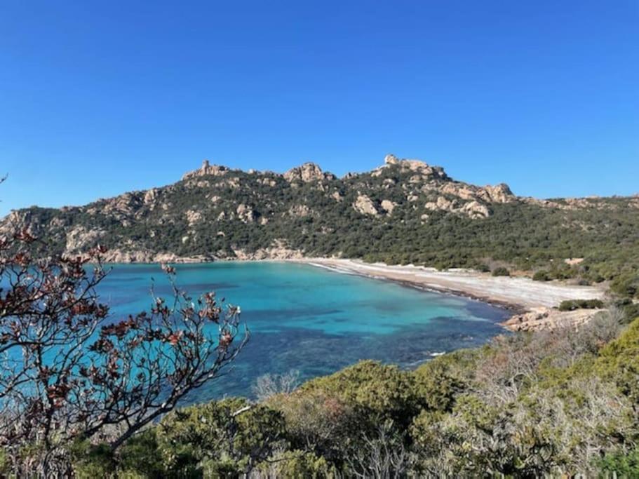 T2 D'Exception 100M Plage Terrasse Vue Mer Et Montagnes 프로프리아노 외부 사진