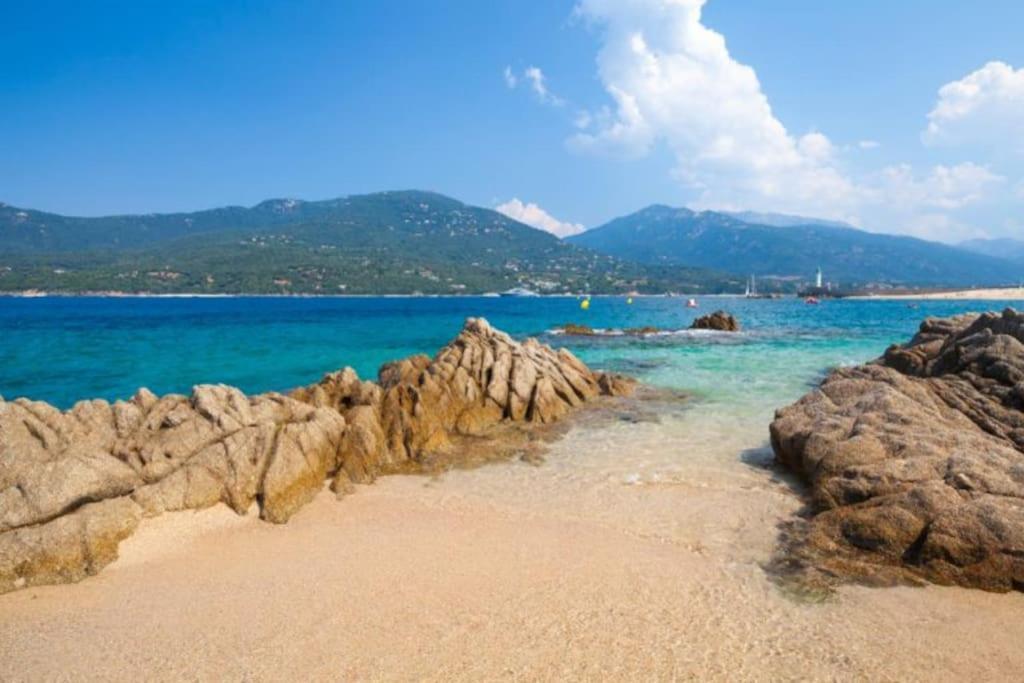 T2 D'Exception 100M Plage Terrasse Vue Mer Et Montagnes 프로프리아노 외부 사진